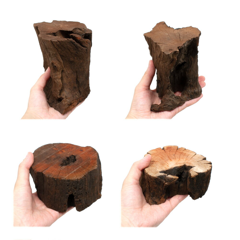 ������Ǥ�����ѹ��ߺѤߡ��ڤ���ɥ�եȥ��åɡ�L����������9��12cm�ˡ�Low�����סʹ⤵��3��5cm�ˡ�3�ܡ�����������