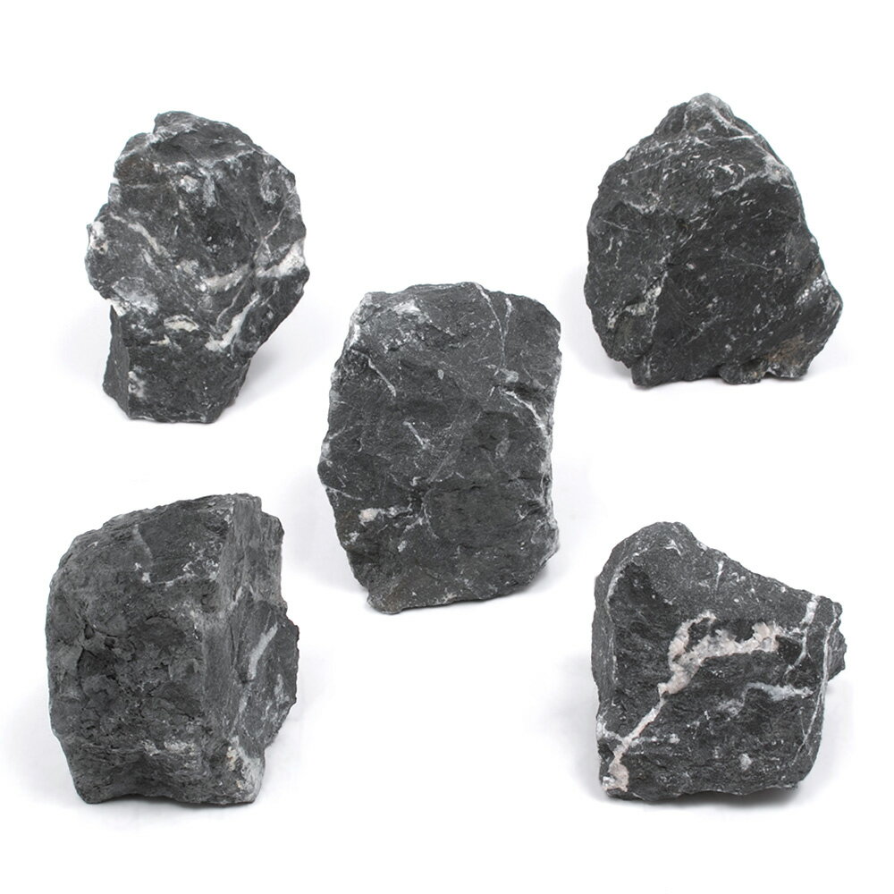 ������Ǥ�����ƻ��С�SS����������5��8cm�ˡ�5�ġ��������ꥦ�ࡡ�쥤�������Ǻࡡ����������