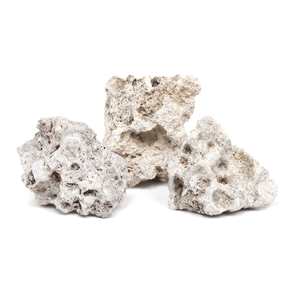 ������Ǥ�����ŷ��С�SS����������5��8cm�ˡ�3�ġ��������ꥦ�ࡡ�쥤�������Ǻࡡ����������