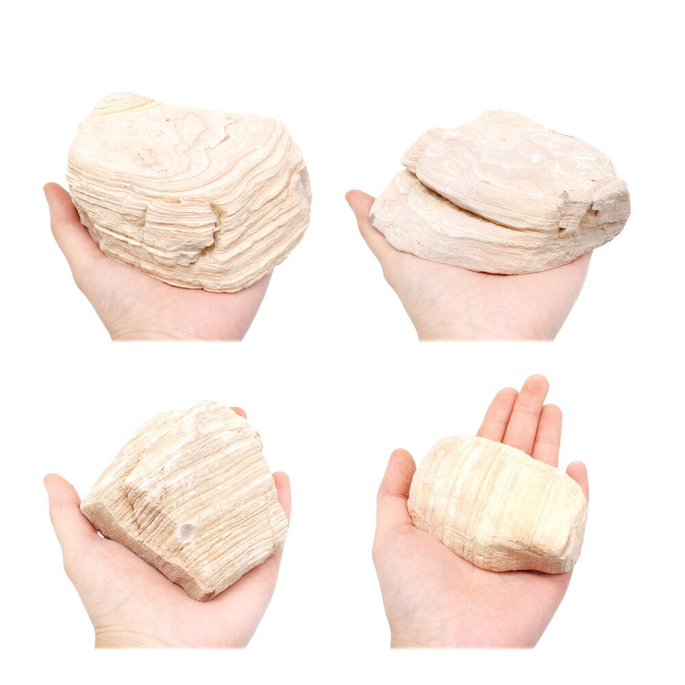 ������Ǥ����ø���С��������ߥå�����3kg��30cm����������������ꥦ�ࡡ�쥤�������Ǻࡡ����������