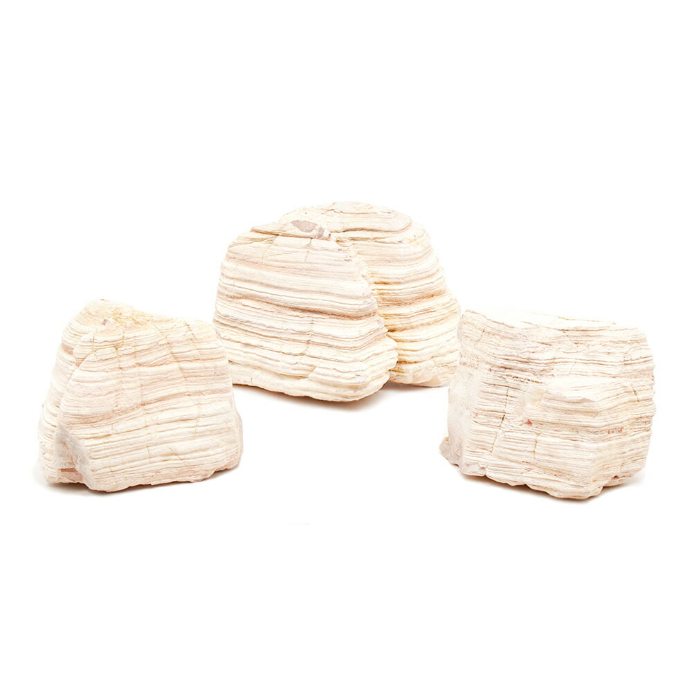 形状お任せ　淡層石　Sサイズ（約8〜13cm）　3個　アクアリウム　レイアウト素材　関東当日便