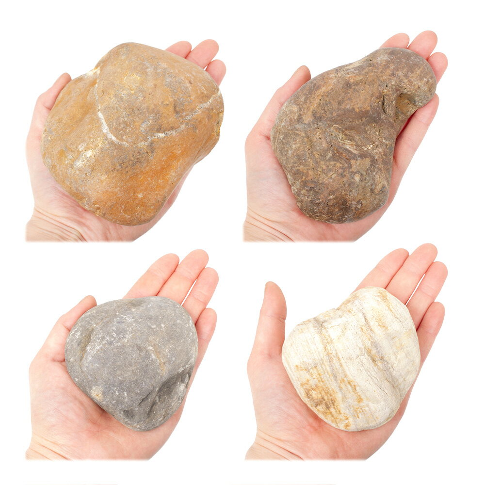 ������Ǥ�����̴��С�S����������8��13cm�ˡ�1�ġ��������ꥦ�ࡡ�쥤�������Ǻࡡ����������