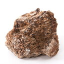 形状お任せ 海洋古代石 Mサイズ(約13~18cm) 1個 アクアリウム レイアウト素材 化石 関東当日便