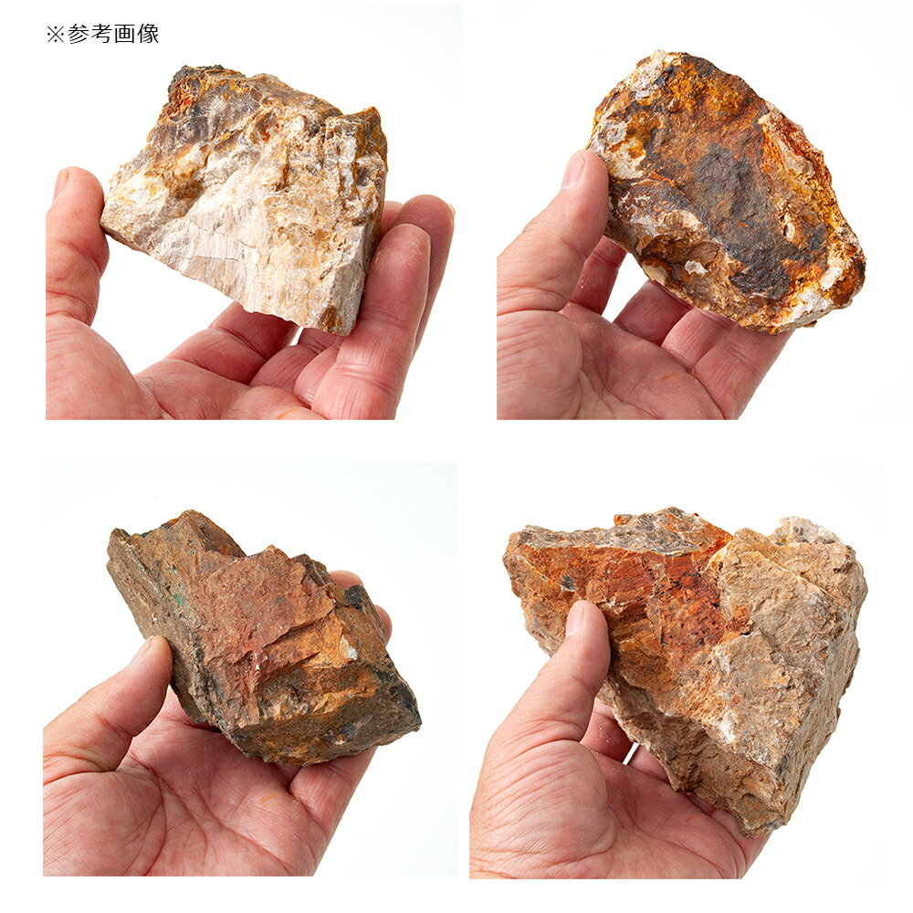 ������Ǥ�����ڲ��С��������ߥå�����3kg��30cm����������������ꥦ�ࡡ�쥤�������Ǻࡡ����������