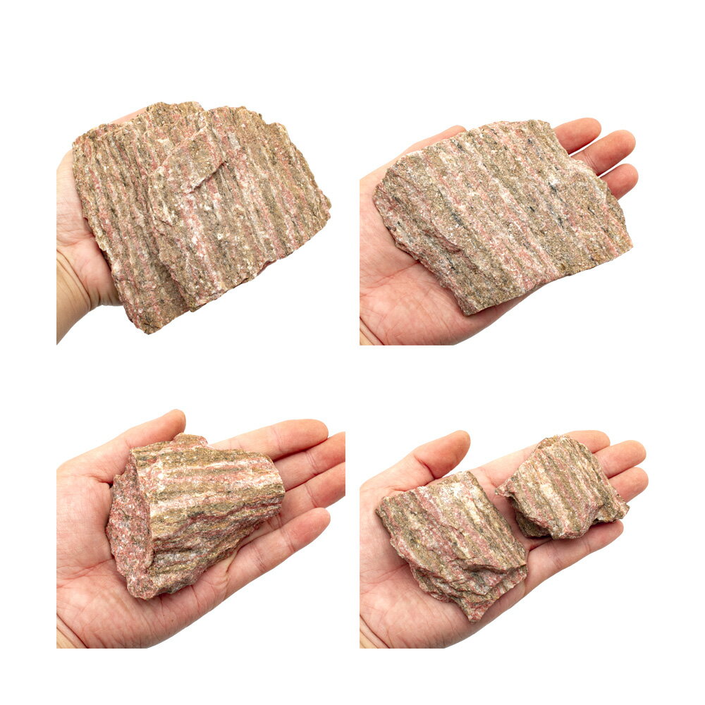 ������Ǥ������δ�С��������ߥå�����3kg��30cm����������������ꥦ�ࡡ�쥤�������Ǻࡡ����������