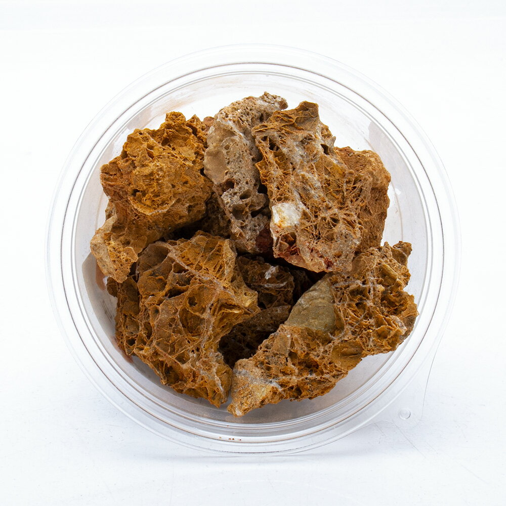 ������Ǥ���������С��ܥȥ륢�����ѡ�500g���������塡�������ꥦ�ࡡ�ƥ�ꥦ�ࡡ�쥤�������Ǻࡡ����������
