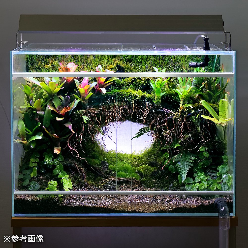 ������Ǥ�����ѹ��ߺѤߡ��˺٥롼�ĥ��åɡ�50g���쥤�������Ǻࡡή�ڡ�����������