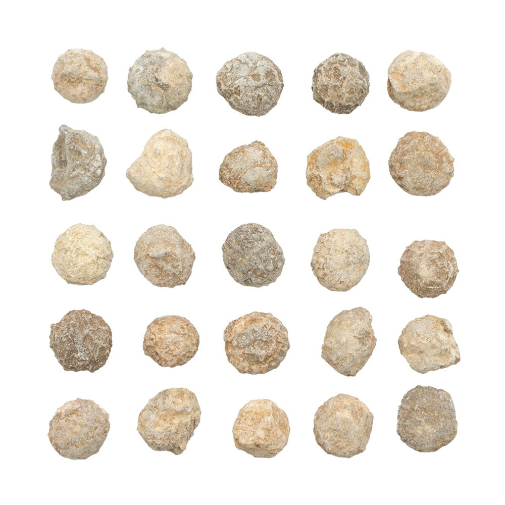 ������Ǥ��������å��������ˤβ��С�S��1�ġ��򰡵������С�����������