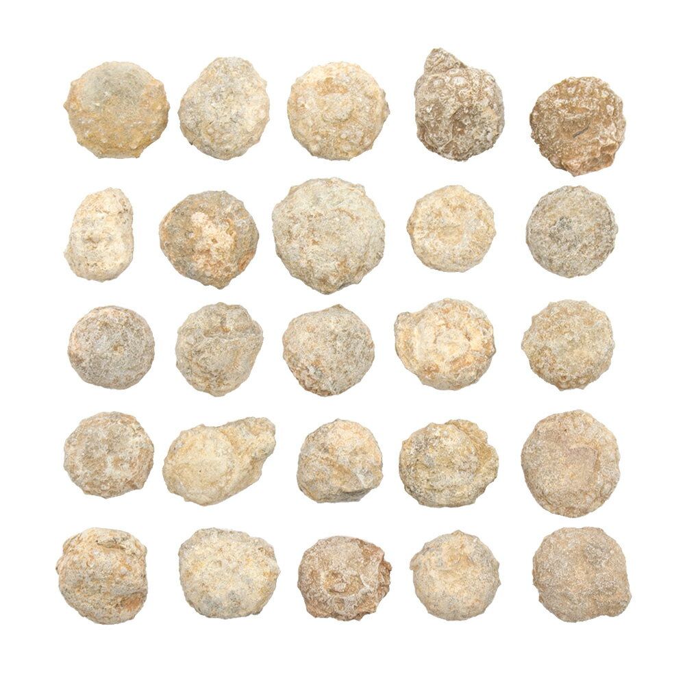 ������Ǥ��������å��������ˤβ��С�M��1�ġ��򰡵������С�����������