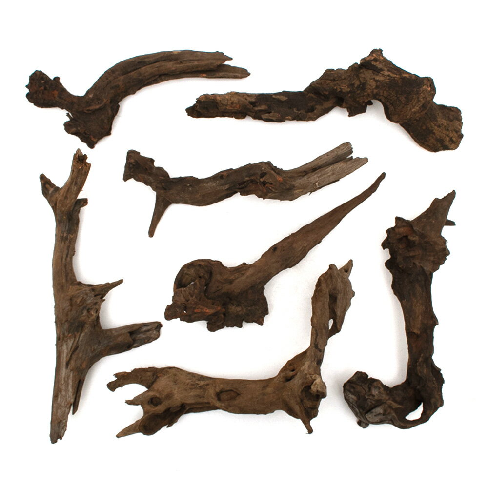 ������Ǥ�����ѹ��ߺѤߡ��ɥ�եȥ��åɡ�M����������25��35cm�ˡ�1�ܡ��������ꥦ�ࡡ�쥤�������Ǻࡡή�ڡ�����������