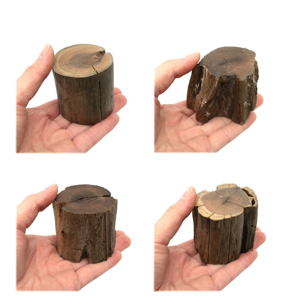 ������Ǥ�����ѹ��ߺѤߡ��ڤ��ή�ڡ�M����������4��5��6��5cm�ˡ�High�����ס�1�ܡ��쥤�������Ǻࡡή�ڡ�����������