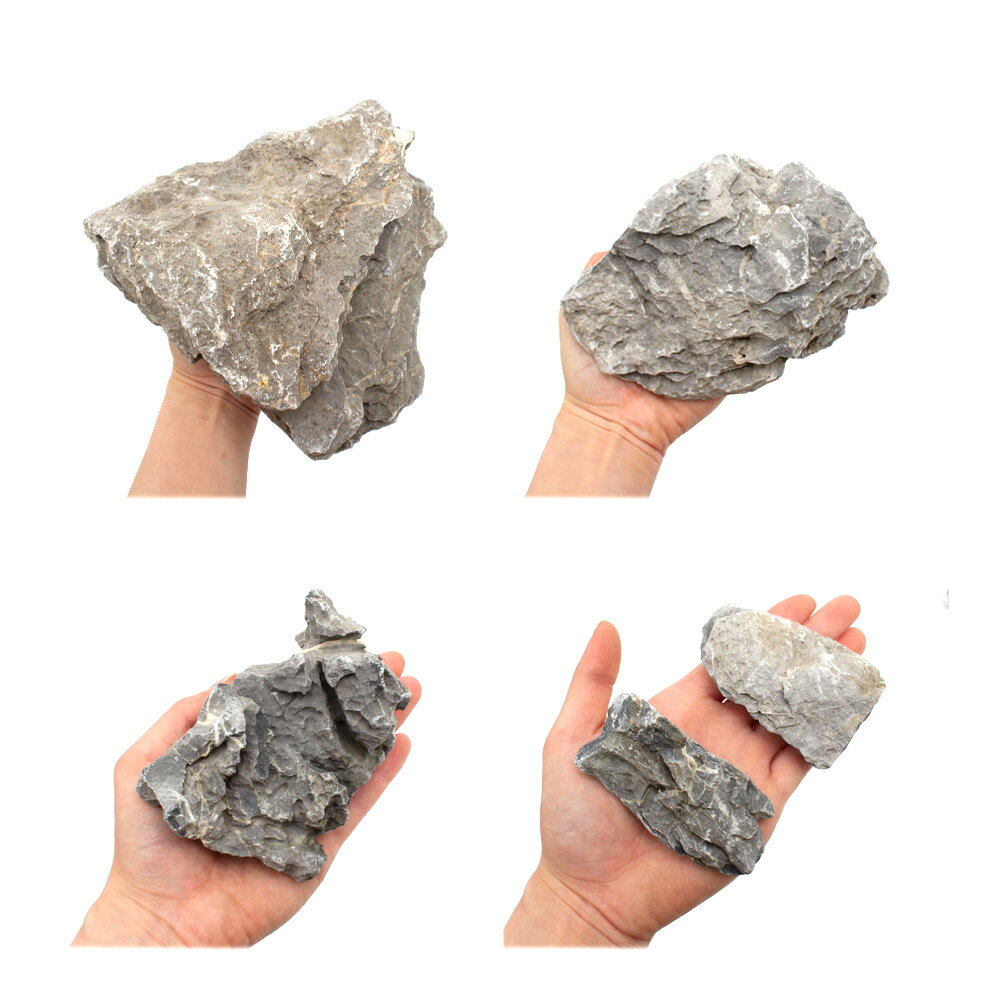 ������Ǥ������ζ�С��������ߥå�����10kg��60cm����������������ꥦ�ࡡ�쥤�������Ǻࡡ����������