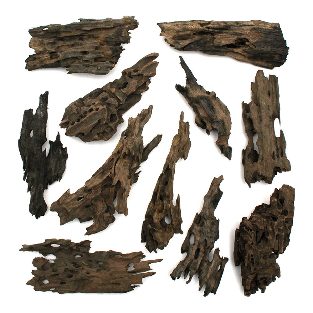 ������Ǥ�����ѹ��ߺѤߡ��ϥ˥��०�åɡ�M��������20��25cm�ˡ�5�ܡ��������ꥦ�ࡡ�쥤�������Ǻࡡή�ڡ�����������