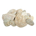 形状お任せ 彩波石 サイズミックス 3kg 30cm水槽向け アクアリウム レイアウト素材 関東当日便