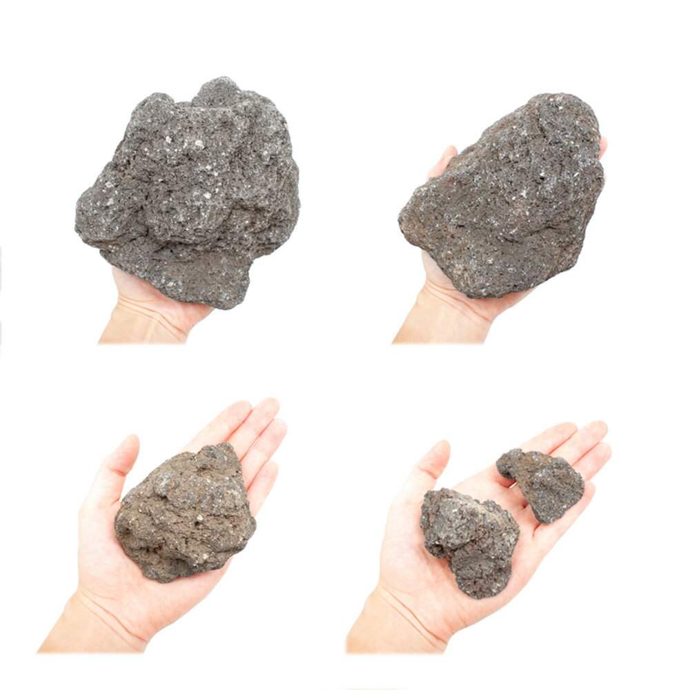 ������Ǥ�������ϴ��С��������ߥå�����5kg��45cm����������������ꥦ�ࡡ�쥤�������Ǻࡡ�ϴ��С�����������