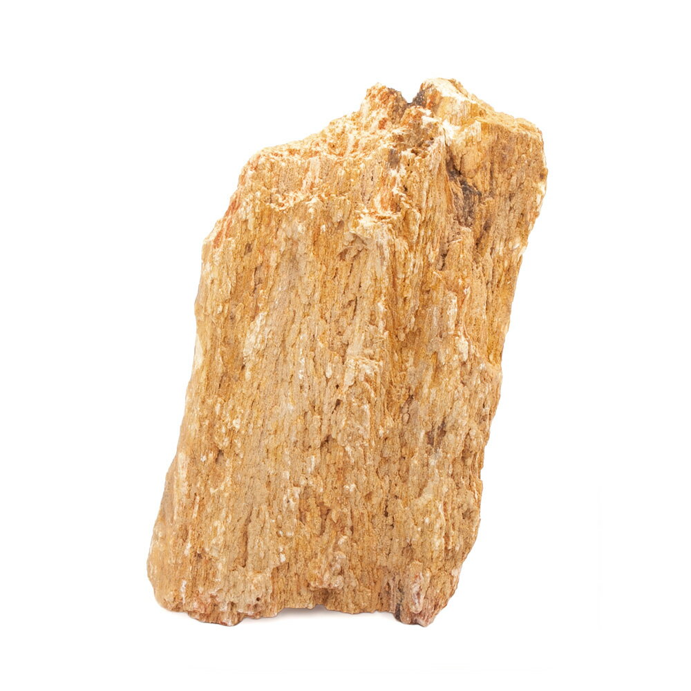 岩肌きらめく木化石！形状お任せ　木化石　Mサイズ（約13〜18cm）　1個対象淡水用特長●「木紋岩」は赤みが強く木目のような縞模様が美しいレイアウトストーンです。●木目や繊維といった樹木の名残が見られる存在感ある質感で、表面の一部には結晶化が見られキラキラと輝くのが特徴です。●木化石に使用感は近く、繊維の方向を意識して配置することで、本格派のレイアウトを容易に組み上げることができます。●暖色系を中心とした色合いから、明るさを重視したレイアウト表現に最適です。ロタラやルドウィジアなど、赤系水草との相性も良いです。●樹木由来の石であるだけにあらゆる流木との相性が良く、何を組み合わせても様になります。流木と組み合わせるだけで、奥行きを感じさせる景観を作り出すことができます。●アクアリウム用としてだけでなく、テラリウム用としても最適です。内容量1個サイズ（約）最大辺：13〜18cm程度※天然石となりますので、形状や色味にはバラツキがございます。予めご了承ください。ご注意※ご使用前によく水で洗ってから水槽へ投入してください。※サイズは形状により表示寸法と多少異なる場合がございます。予めご了承ください。※必ず底床を敷いてレイアウトをしてください。石を底面に直置きすると、水槽に傷をつける恐れがあります。※水洗い等をする際は、鋭い部分がございますので、ケガをなさらないよう十分に注意してお取扱いください。※石は種類に関わらず、多少の硬度の上昇を招きます。一般的な種類であれば育成に影響はありませんが、極端に硬度の上昇・アルカリ性の水質を嫌う種類を飼育されている水槽にご使用の場合には、十分にご注意くださいませ。※商品画像はサンプルです。あらかじめご了承ください。形状お任せ　木紋岩　サイズミックス　3kg　30cm水槽向け　アクアリウム　レイアウト素材形状お任せ　木紋岩　サイズミックス　5kg　45cm水槽向け　アクアリウム　レイアウト素材形状お任せ　木紋岩　サイズミックス　10kg　60cm水槽向け　アクアリウム　レイアウト素材 … 形状お任せ　木紋岩　Mサイズ（13〜18cm）　1個　アクアリウム　レイアウト素材　石　アクアリウム用品　アクア用品　レイアウト素材　レイアウト　素材　熱帯魚　アクアリウム　パルダリウム　コケリウム　アクアテラリウム　水槽用アクセサリ　隠れ家　かくれが　水草レイアウト　ネイチャーアクアリウム　レイアウトストーン　飾り石　岩　自然石　天然石　石組レイアウト　岩組レイアウト　爬虫類　水草　木化石　珪化木　化石　爬虫類　レオパ　ヒョウモントカゲモドキ　脱皮　補助　sk0311_n　20250818　y25m08　kszk　seitaieventlo202509　leaf26m03lts03形状お任せ　木紋岩　Mサイズ（約13〜18cm）　3個　アクアリウム　レイアウト素材形状お任せ　木紋岩　Mサイズ（約13〜18cm）　5個　アクアリウム　レイアウト素材■この商品をお買い上げのお客様は、下記商品もお買い上げです。※この商品には付属しません。■形状お任せ　木紋岩　サイズミックス　3kg　30cm水槽向け　アクアリウム　レイアウト素材形状お任せ　木紋岩　サイズミックス　5kg　45cm水槽向け　アクアリウム　レイアウト素材形状お任せ　木紋岩　サイズミックス　10kg　60cm水槽向け　アクアリウム　レイアウト素材