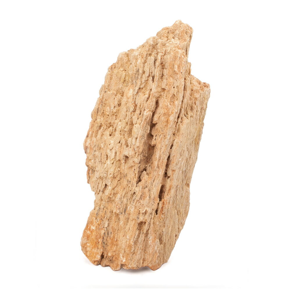 岩肌きらめく木化石！形状お任せ　木化石　Lサイズ（約18〜23cm）　1個対象淡水用特長●「木紋岩」は赤みが強く木目のような縞模様が美しいレイアウトストーンです。●木目や繊維といった樹木の名残が見られる存在感ある質感で、表面の一部には結晶化が見られキラキラと輝くのが特徴です。●木化石に使用感は近く、繊維の方向を意識して配置することで、本格派のレイアウトを容易に組み上げることができます。●暖色系を中心とした色合いから、明るさを重視したレイアウト表現に最適です。ロタラやルドウィジアなど、赤系水草との相性も良いです。●樹木由来の石であるだけにあらゆる流木との相性が良く、何を組み合わせても様になります。流木と組み合わせるだけで、奥行きを感じさせる景観を作り出すことができます。●アクアリウム用としてだけでなく、テラリウム用としても最適です。内容量1個サイズ（約）最大辺：18〜23cm程度※天然石となりますので、形状や色味にはバラツキがございます。予めご了承ください。ご注意※ご使用前によく水で洗ってから水槽へ投入してください。※サイズは形状により表示寸法と多少異なる場合がございます。予めご了承ください。※必ず底床を敷いてレイアウトをしてください。石を底面に直置きすると、水槽に傷をつける恐れがあります。※水洗い等をする際は、鋭い部分がございますので、ケガをなさらないよう十分に注意してお取扱いください。※石は種類に関わらず、多少の硬度の上昇を招きます。一般的な種類であれば育成に影響はありませんが、極端に硬度の上昇・アルカリ性の水質を嫌う種類を飼育されている水槽にご使用の場合には、十分にご注意くださいませ。※商品画像はサンプルです。あらかじめご了承ください。形状お任せ　木紋岩　サイズミックス　3kg　30cm水槽向け　アクアリウム　レイアウト素材形状お任せ　木紋岩　サイズミックス　5kg　45cm水槽向け　アクアリウム　レイアウト素材形状お任せ　木紋岩　サイズミックス　10kg　60cm水槽向け　アクアリウム　レイアウト素材 … 形状お任せ　木紋岩　Lサイズ（18〜23cm）　1個　アクアリウム　レイアウト素材　石　アクアリウム用品　アクア用品　レイアウト素材　レイアウト　素材　熱帯魚　アクアリウム　パルダリウム　コケリウム　アクアテラリウム　水槽用アクセサリ　隠れ家　かくれが　水草レイアウト　ネイチャーアクアリウム　レイアウトストーン　飾り石　岩　自然石　天然石　石組レイアウト　岩組レイアウト　爬虫類　水草　木化石　珪化木　化石　爬虫類　レオパ　ヒョウモントカゲモドキ　脱皮　補助　sk0311_n　20250818　y25m08　kszk　seitaieventlo202509　leaf26m03lts03形状お任せ　木紋岩　Lサイズ（約18〜23cm）　3個　アクアリウム　レイアウト素材■この商品をお買い上げのお客様は、下記商品もお買い上げです。※この商品には付属しません。■形状お任せ　木紋岩　サイズミックス　3kg　30cm水槽向け　アクアリウム　レイアウト素材形状お任せ　木紋岩　サイズミックス　5kg　45cm水槽向け　アクアリウム　レイアウト素材形状お任せ　木紋岩　サイズミックス　10kg　60cm水槽向け　アクアリウム　レイアウト素材