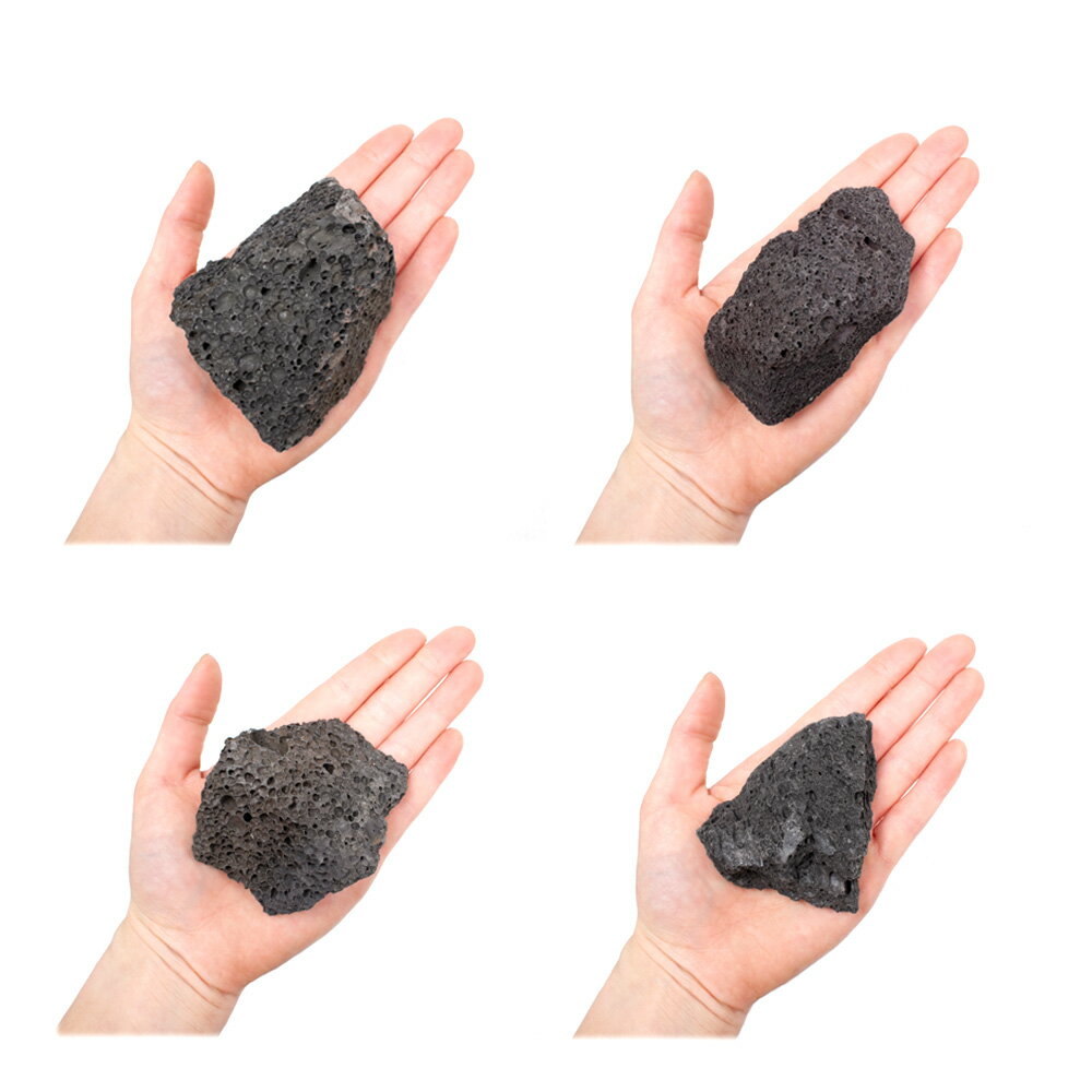 ������Ǥ�������ϴ��С�S����������8��13cm�ˡ�1�ġ��������ꥦ�ࡡ�쥤�������Ǻࡡ�ϴ��С�����������