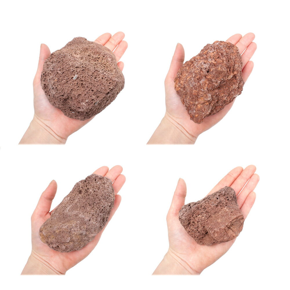 ������Ǥ�������ϴ��С�S����������8��13cm�ˡ�1�ġ��������ꥦ�ࡡ�쥤�������Ǻࡡ�ϴ��С�����������