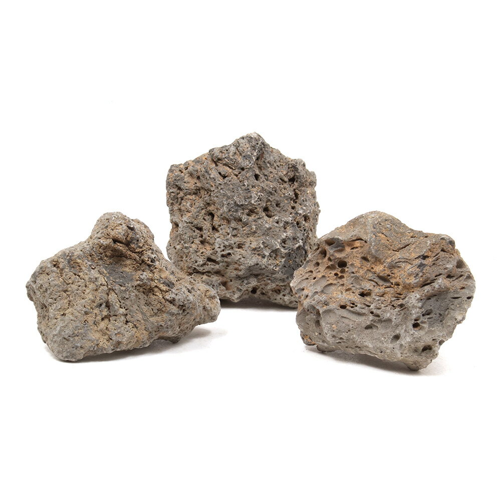 形状お任せ ラバロック Sサイズ（約8～13cm） 3個 アクアリウム レイアウト素材 関東当日便