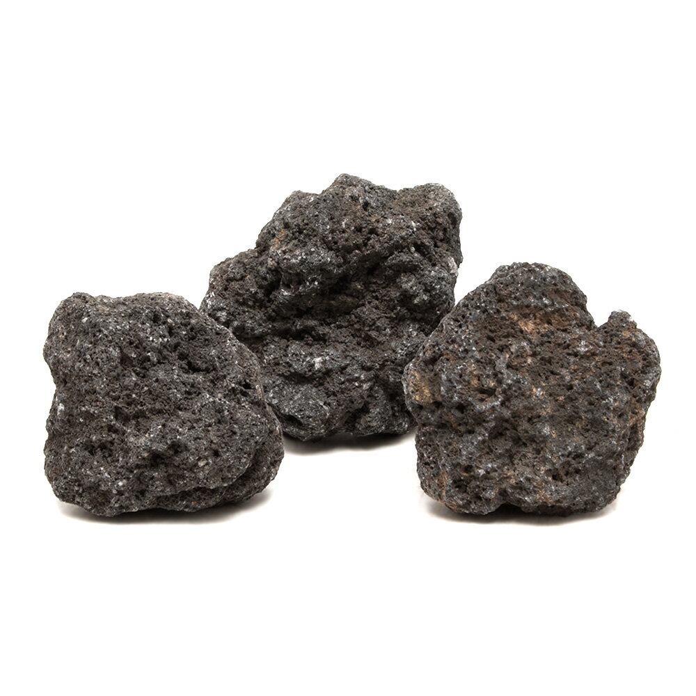 ������Ǥ�������ϴ��С�SS����������5��8cm�ˡ�3�ġ��������ꥦ�ࡡ�쥤�������Ǻࡡ�ϴ��С�����������