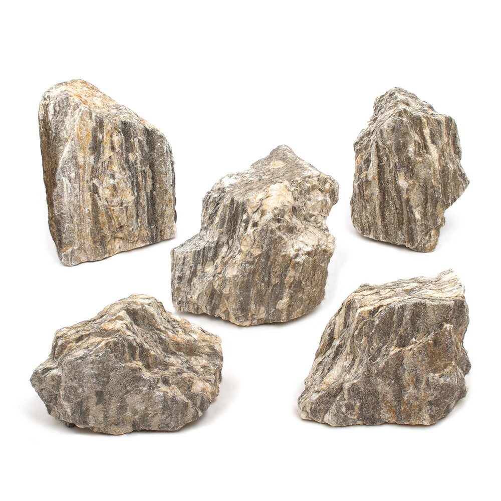 形状お任せ 輝隆石 Mサイズ（約13～18cm） 5個 アクアリウム レイアウト素材 関東当日便
