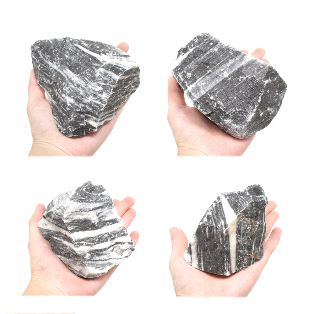 ������Ǥ����ζ���С�S����������8��13cm�ˡ�1�ġ��������ꥦ�ࡡ�쥤�������Ǻࡡ����������