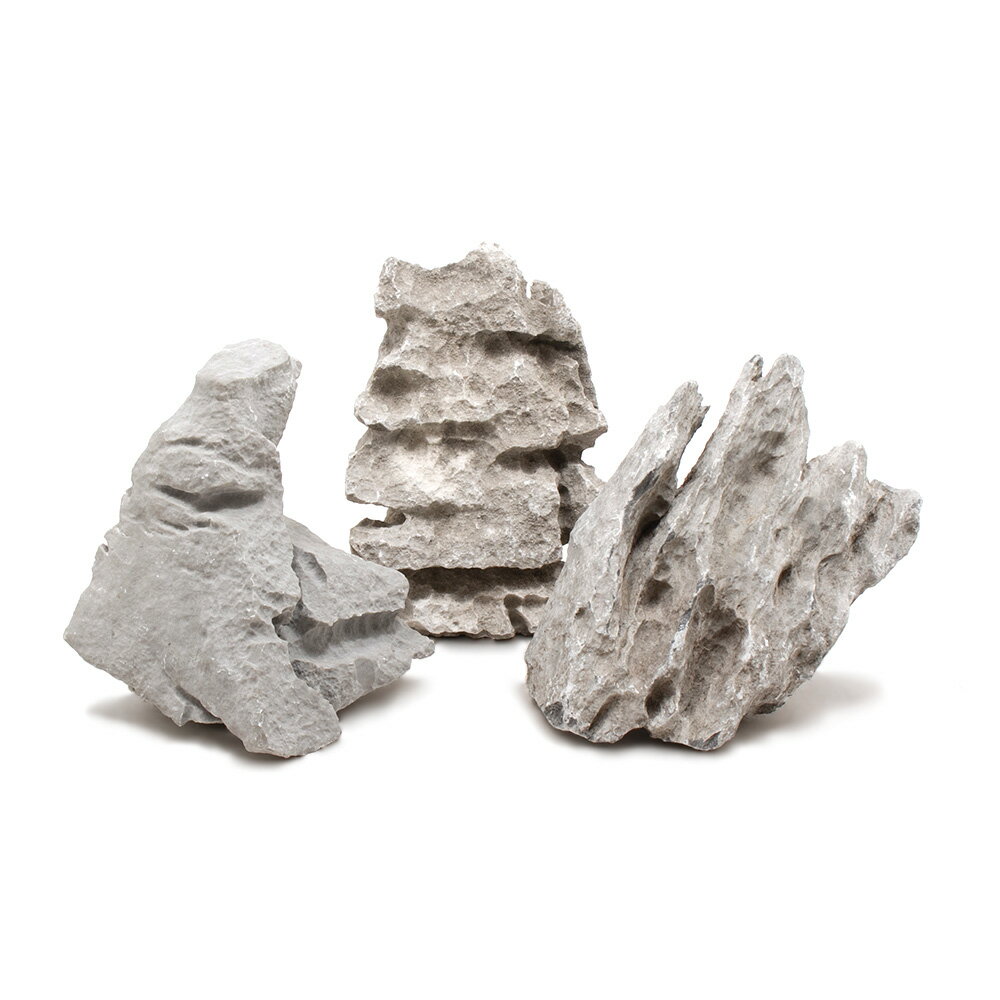 形状お任せ 白風石 Lサイズ（約18～23cm） 3個 アクアリウム レイアウト素材 関東当日便