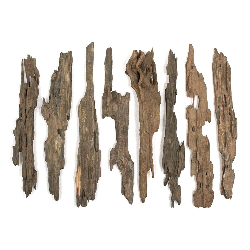 ������Ǥ�����ѹ��ߺѤߡ����礤­�����ϥ˥��०�åɡ�XL��������30��40cm�ˡ�3�ܡ��������ꥦ�ࡡ�쥤�������Ǻࡡή�ڡ�����������