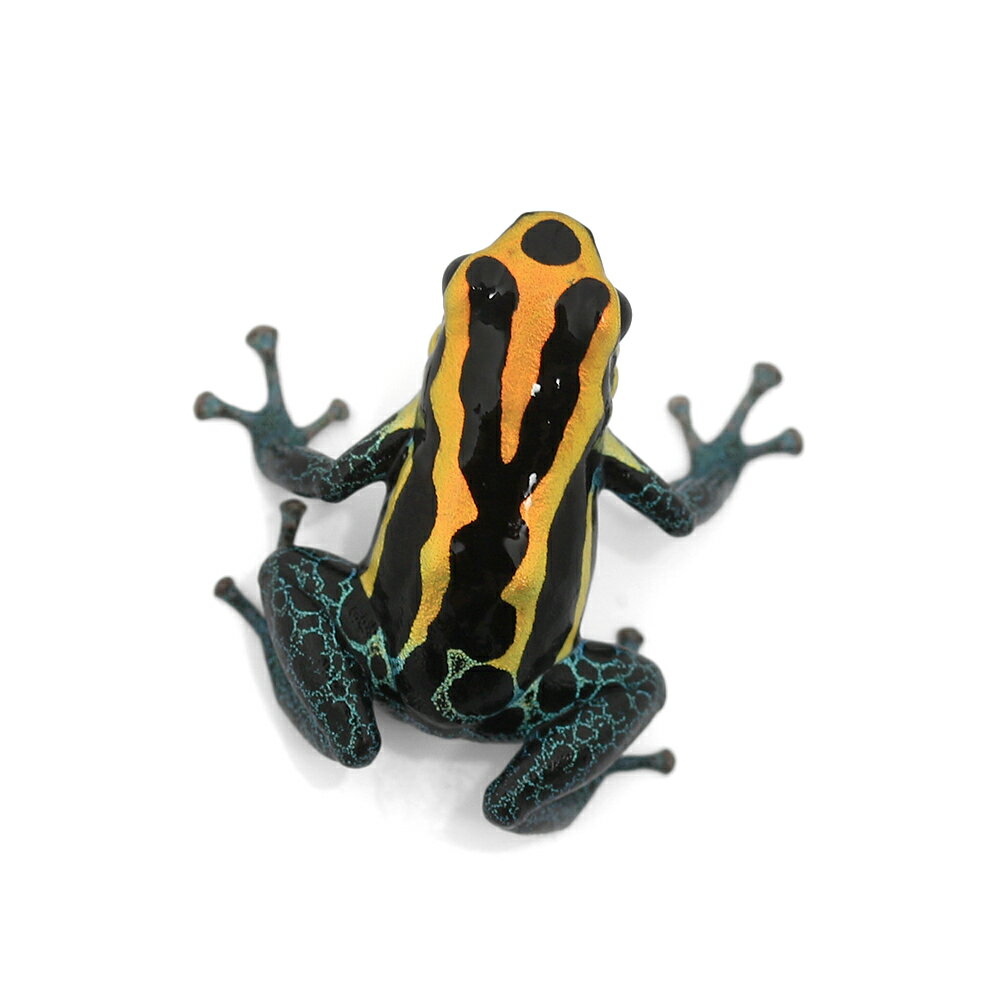 ��ξ����˥��ޥ��˥���ɥ������롡������ǥ󡡡�golden�ɡ�1ɤ�ˡ��̳�ƻ���彣�Ҷ������ݲ�