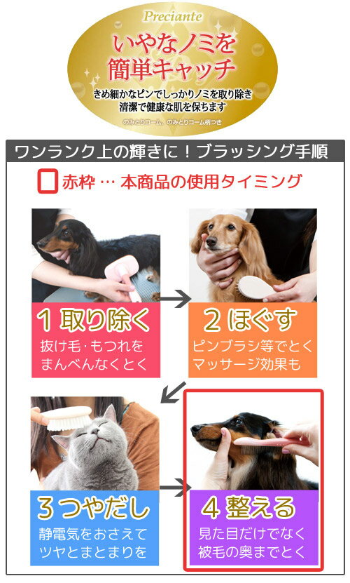 ペティオ　プレシャンテ　のみとりコーム　柄つき　犬　猫　コーム　関東当日便 3