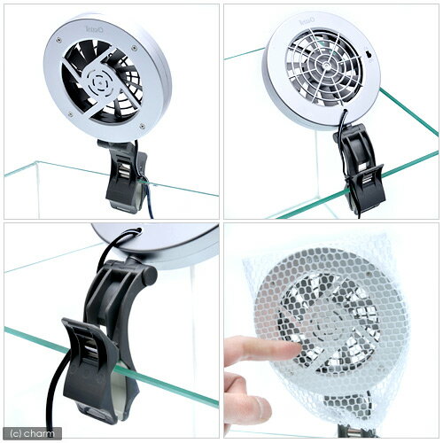 �ƥȥ顡��������ѥե��󡡥�����ե���CF��60��NEW���ץ饹���å��ѥ�����30��60cm�ʲ������ѡ����մ�ñ�������ͥå��դ�������������