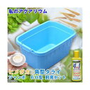 (めだか)私の小さなアクアリウム ヒメダカとトンボ角型タライジャンボ 水抜栓付 60型セット 説明書付き 本州四国限定
