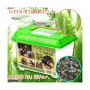(めだか)(水草)シロメダカ飼育セット(飼育容器 小 緑(225×150×165mm)Ver.) 説明書付本州四国限定 お一人様1点限り