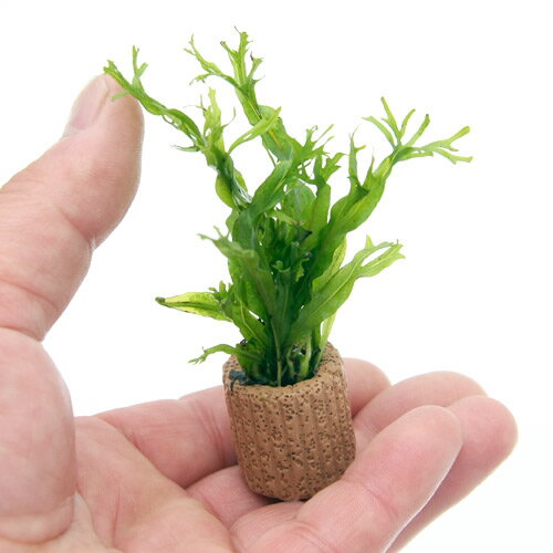 �ʿ���˥饤�եޥ������˥ߥ������ꥦ�ࡡ������ǥ����ա�1�ġ�