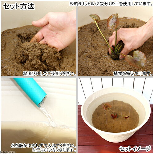 �����ڡ��������ȥϥ����ڡ�9��åȥ��3��åȥ��3�ޡˡʿ�����ʪ���������ڡˡ��������2���¤ꡡ����������