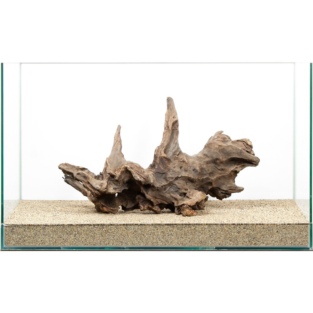 一点物　60cm水槽用　ウェーブウッド　859722　関東当日便