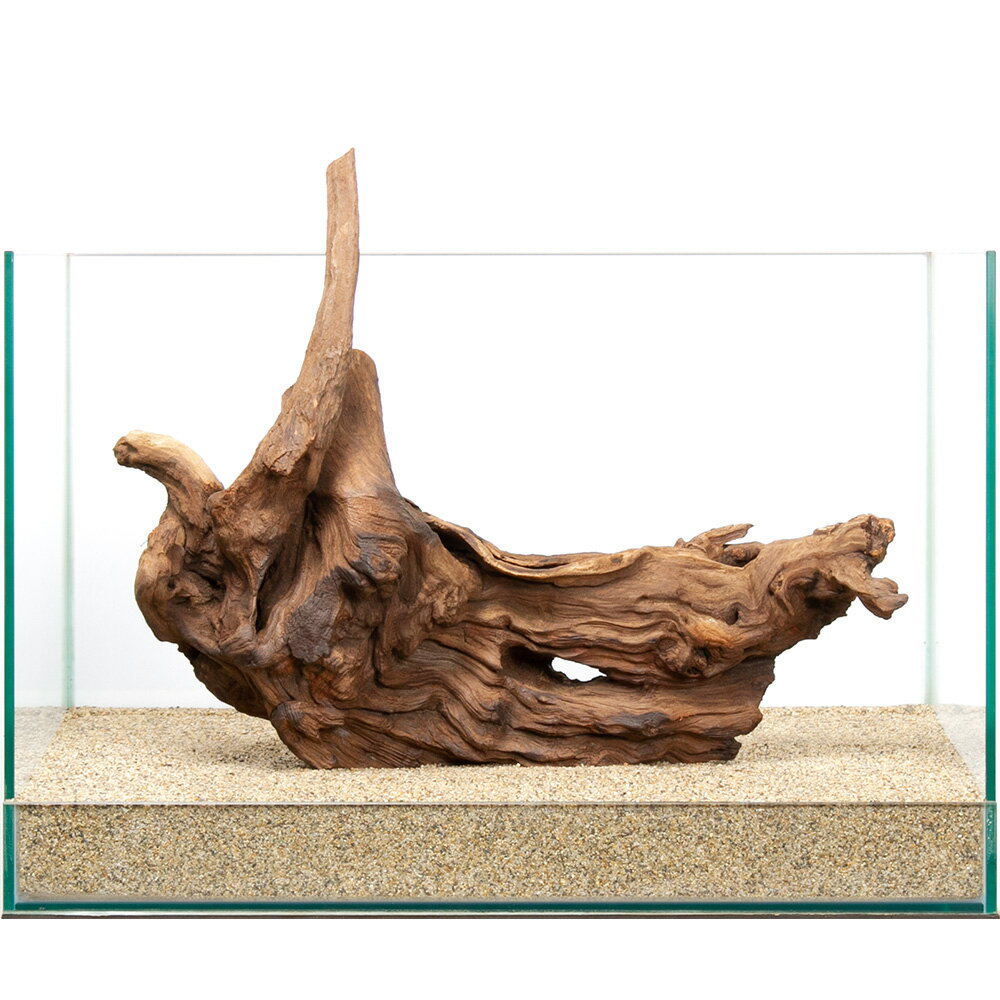一点物　上質ドリフトウッド　45cm水槽用　859830　関東当日便