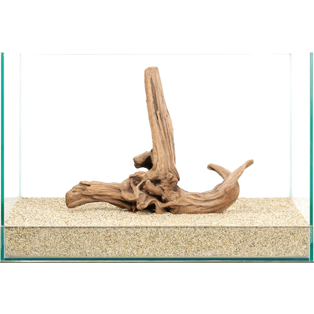 一点物　上質流木　雅　45cm水槽用　859841　関東当日便