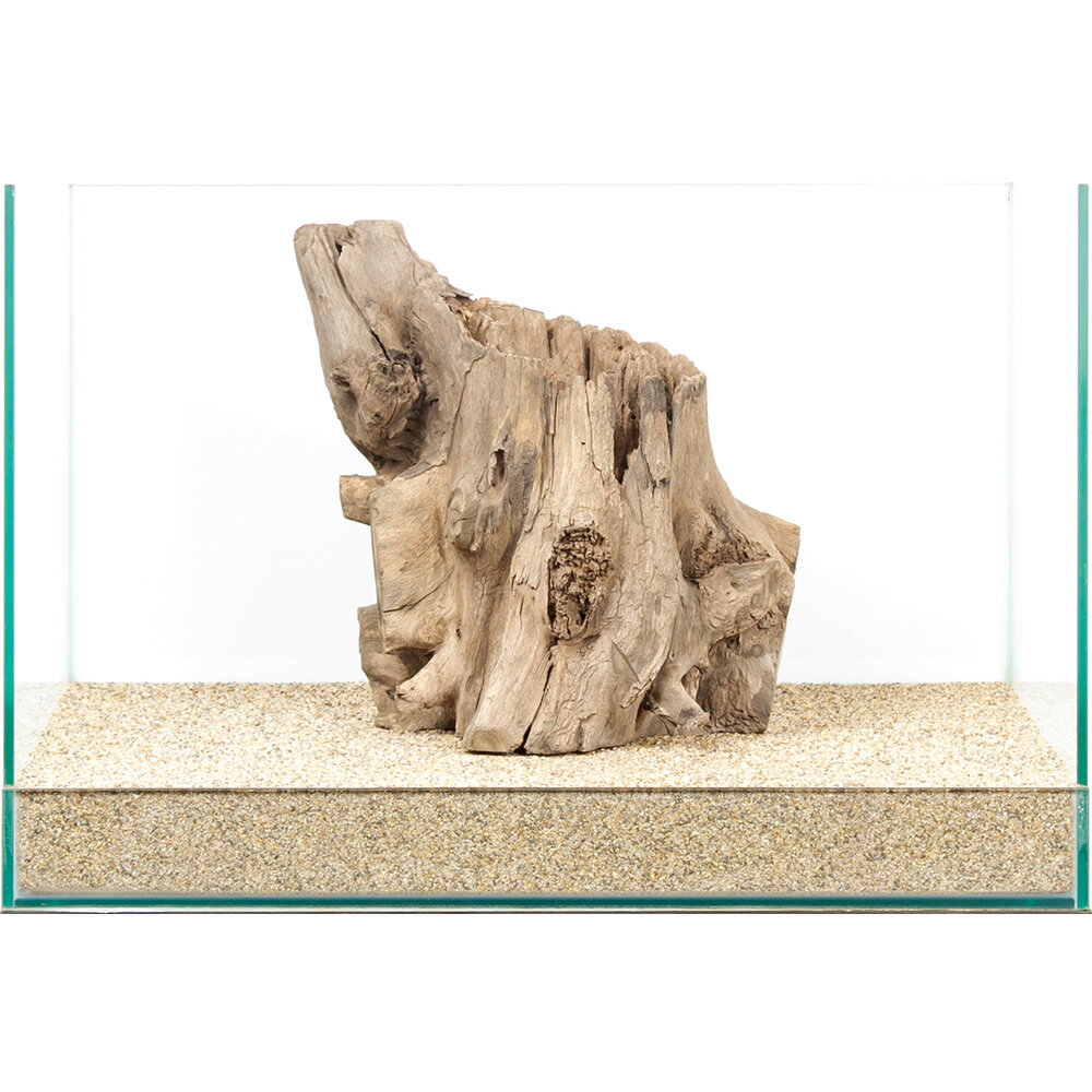 一点物　スタンプウッド　45cm水槽用　859847　関東当日便