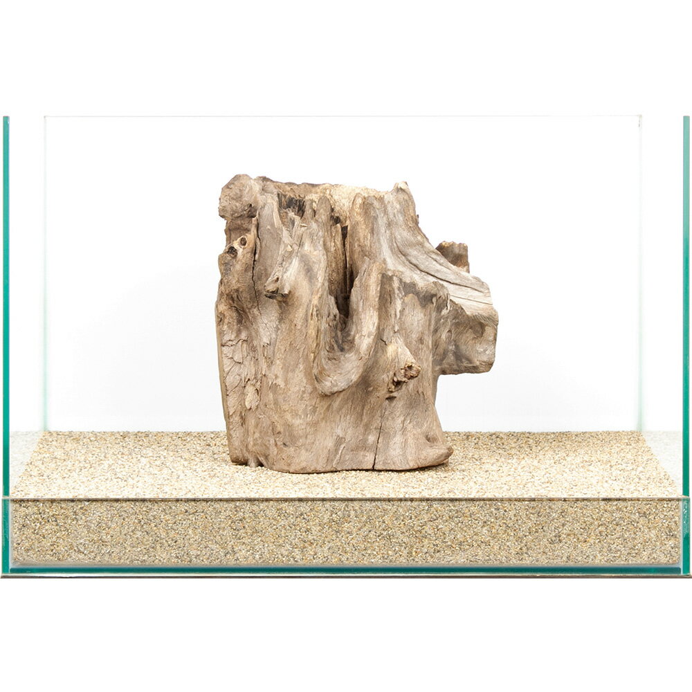 一点物　スタンプウッド　45cm水槽用　859849　関東当日便