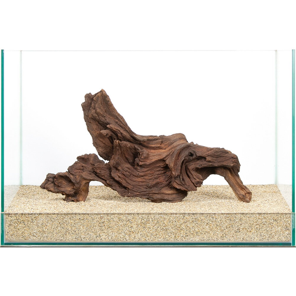 一点物　モパネウッド　45cm水槽用　859937　関東当日便