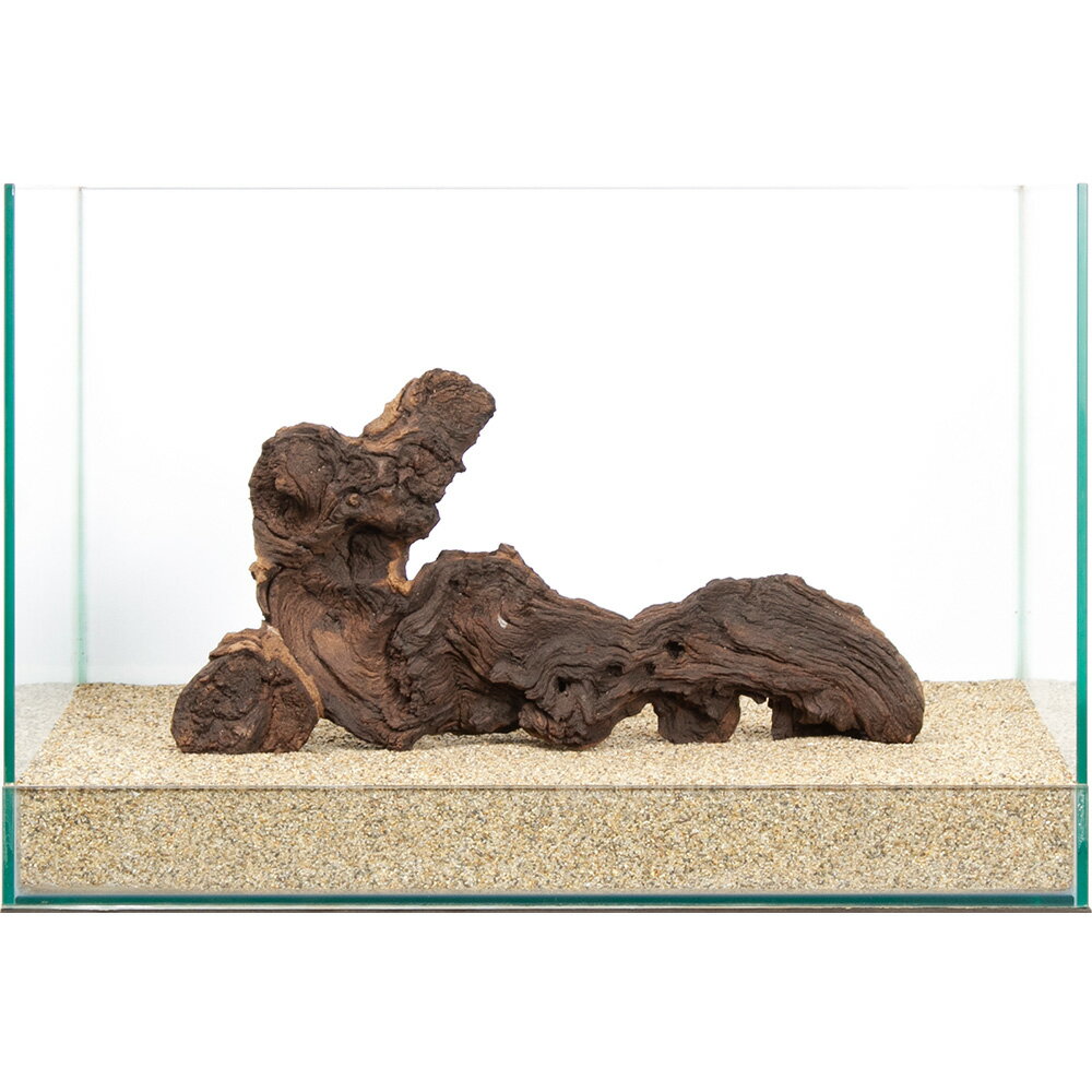 一点物　モパネウッド　45cm水槽用　859949　関東当日便