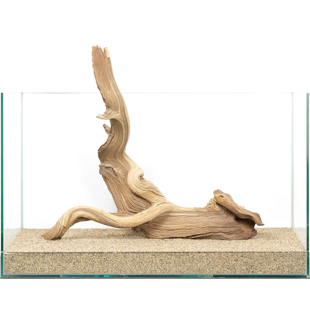 一点物 ゴーストウッド 60cm水槽用 859976 関東当日便