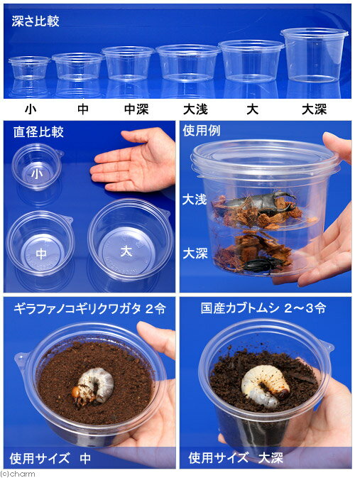 プリンカップ　大浅　約370ml×30個　（DT129−430TC）　カブトムシ　クワガタ　卵　...
