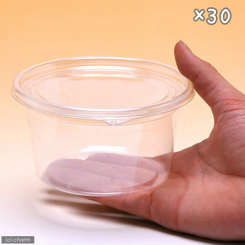 プリンカップ　大　約440ml×30個　（DT129−500MTC）　カブトムシ　クワガタ　卵　...