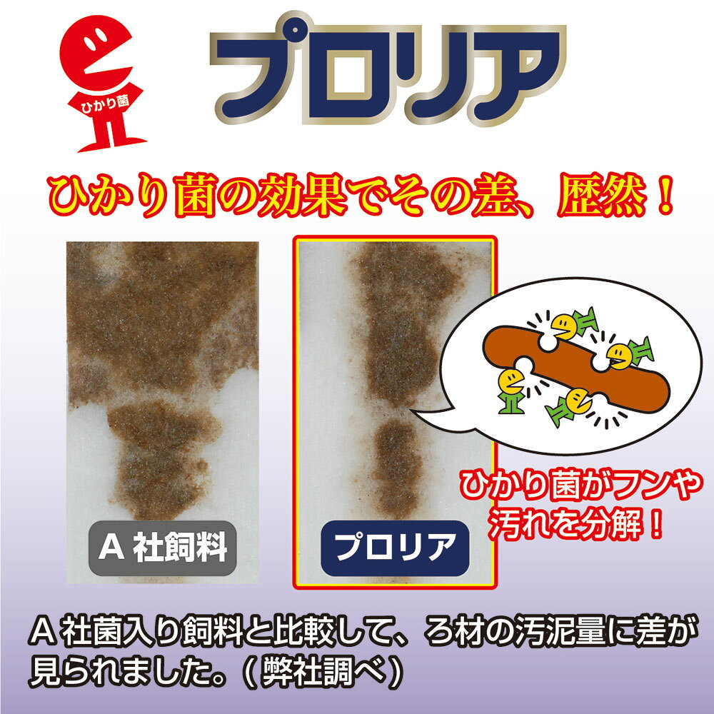 キョーリン　プロリア　70g　金魚の健康食　金魚のえさ　金魚の餌　お一人様50点限...