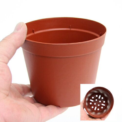 ȭ���ץ�ݥåȡ�12cm���㡡�ꤢ�꥿���ס�5�ĥ��åȡ�����������