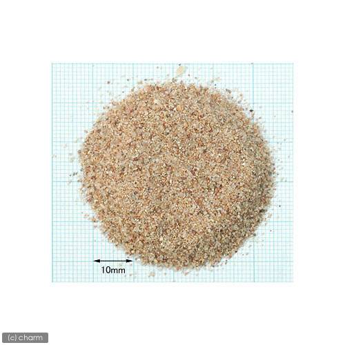 ���ɡ����ܥȥॵ��ɡ�5kg��3�ޡ��������1���¤ꡡ����������