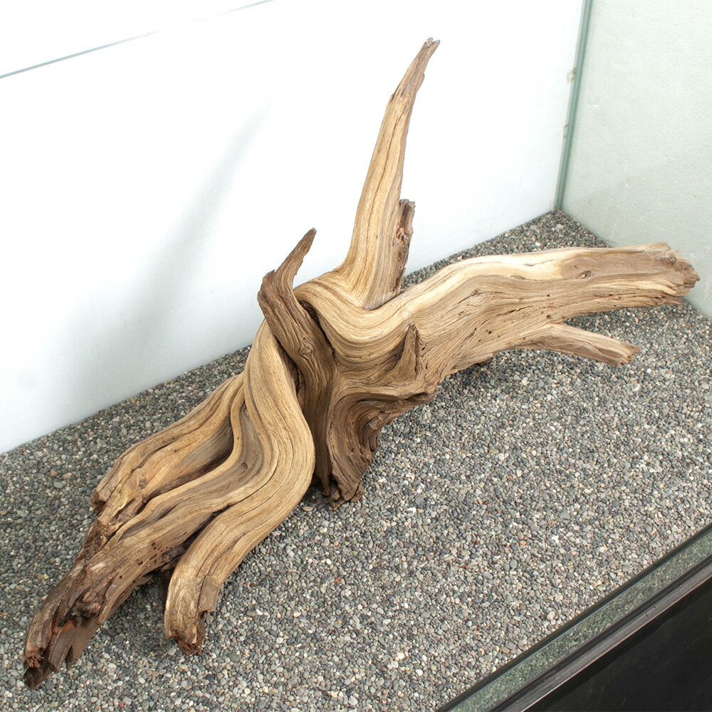 ����ʪ���������ȥ��åɡ��緿�����ѡ�880044������������